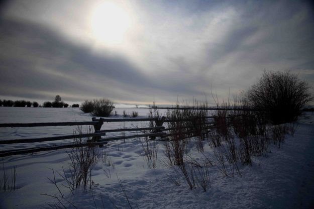 Winter Field. Photo by Dave Bell.