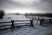 Hazy Fence Corner. Photo by Dave Bell.