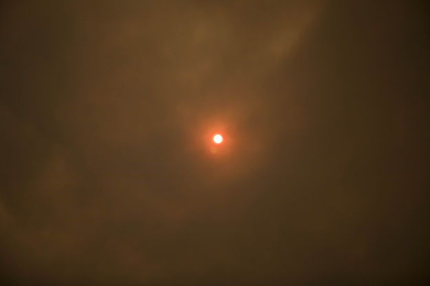 Oh No!  Smoky Skies and Red Sun. Photo by Dave Bell.