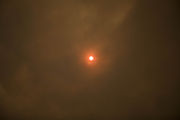 Oh No!  Smoky Skies and Red Sun. Photo by Dave Bell.