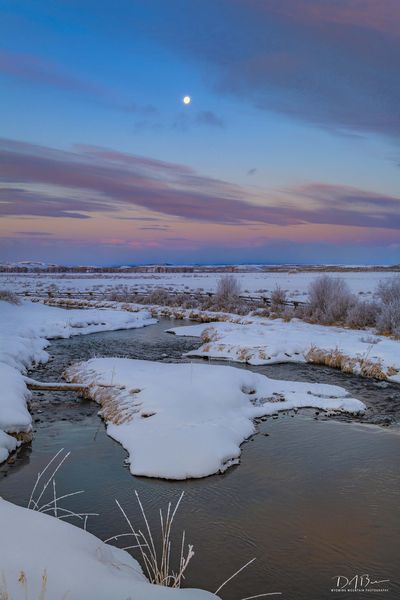 Catching The Moon. Photo by Dave Bell.