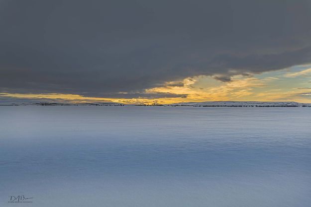 Untracked. Photo by Dave Bell.