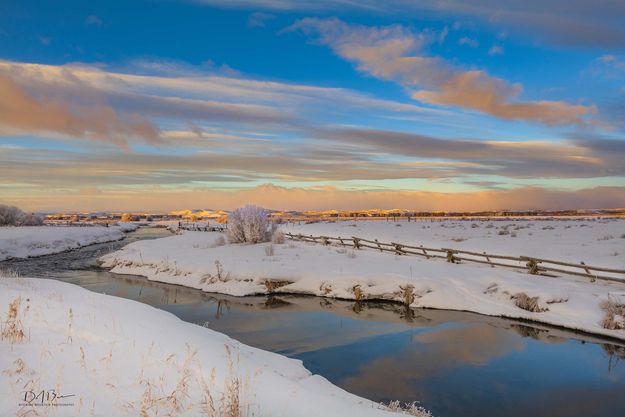 Beautiful Morning. Photo by Dave Bell.