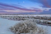 Early Morning Color. Photo by Dave Bell.