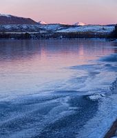 Pretty In Pink. Photo by Dave Bell.