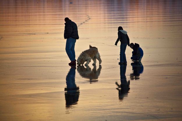 Family Enjoying the Ice. Photo by Dave Bell.