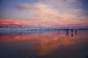 Ice Walkers. Photo by Dave Bell.