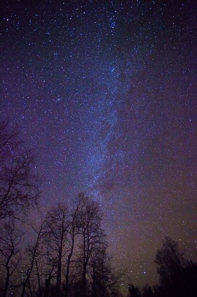 End Of The Road. Photo by Dave Bell.