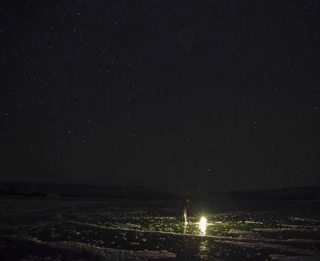 Lantern Glow. Photo by Dave Bell.