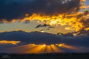 Evening Rays. Photo by Dave Bell.