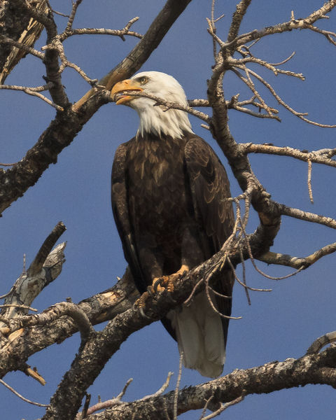 Lip Service. Photo by Dave Bell.