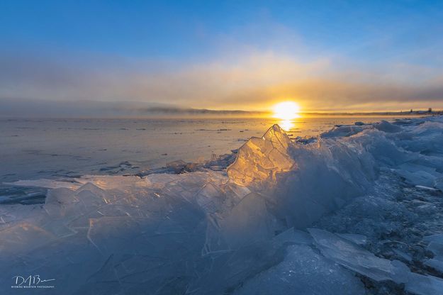 Glass. Photo by Dave Bell.