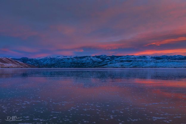 Magnificent Morning Delight. Photo by Dave Bell.