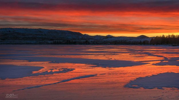 Intense Color. Photo by Dave Bell.