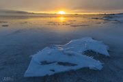 White Ice. Photo by Dave Bell.