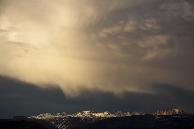 White Light. Photo by Dave Bell.