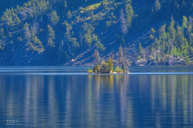 Incredible Light Reflections. Photo by Dave Bell.