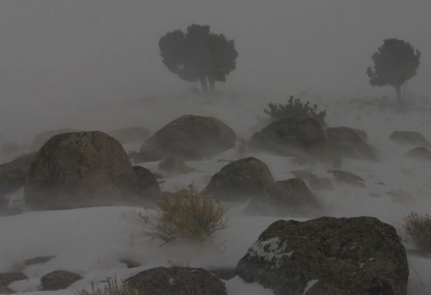 Natures Fury--Horizontal. Photo by Dave Bell.