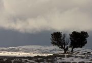 Sunlit Valley. Photo by Dave Bell.