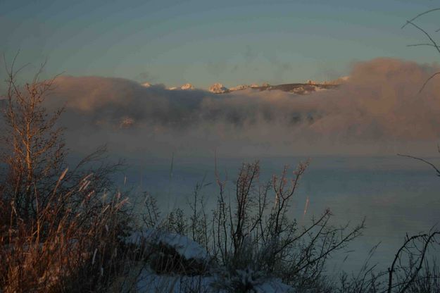 Foggy Scene. Photo by Dave Bell.