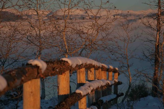 Log Rail Fence. Photo by Dave Bell.