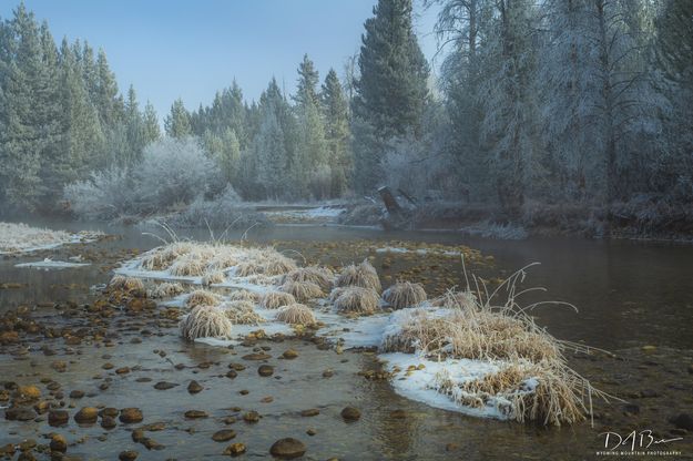 Pine Creek Frost. Photo by Dave Bell.