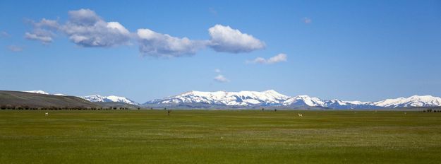 Wonderful Sublette County Scenery (Pano). Photo by Dave Bell.