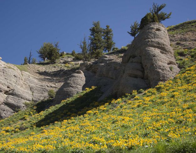 Sheep Bluffs At Camp Creek. Photo by Dave Bell.