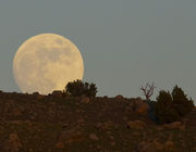 Full Moon Rising Over Fremont Ridge Ridgline. Photo by Dave Bell.