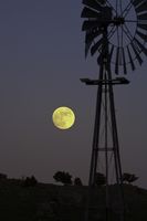 Moon Rise. Photo by Dave Bell.