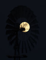 Windmill With A Moon In It. Photo by Dave Bell.