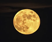 Full Moon--June 15, 2011. Photo by Dave Bell.