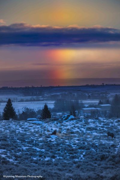 Super Sundog. Photo by Dave Bell.