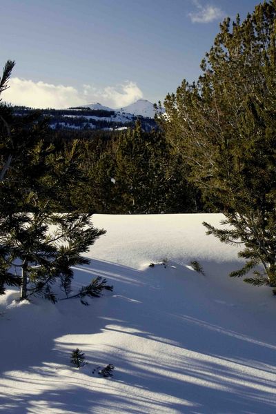 Tosi Peak. Photo by Dave Bell.