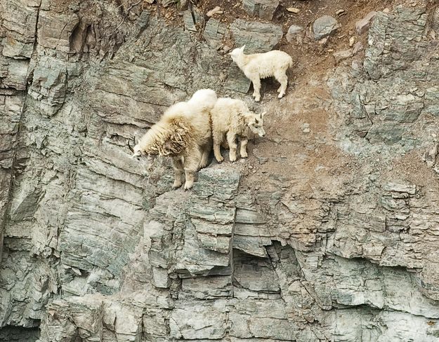 Family Time OnThe Rock Face. Photo by Dave Bell.