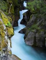 Avalanche Creek Gorge. Photo by Dave Bell.