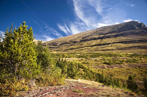 Altyn Peak From The Trail. Photo by Dave Bell.