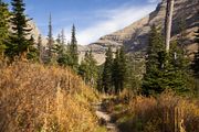 Ptarmigan Trail Scenery. Photo by Dave Bell.