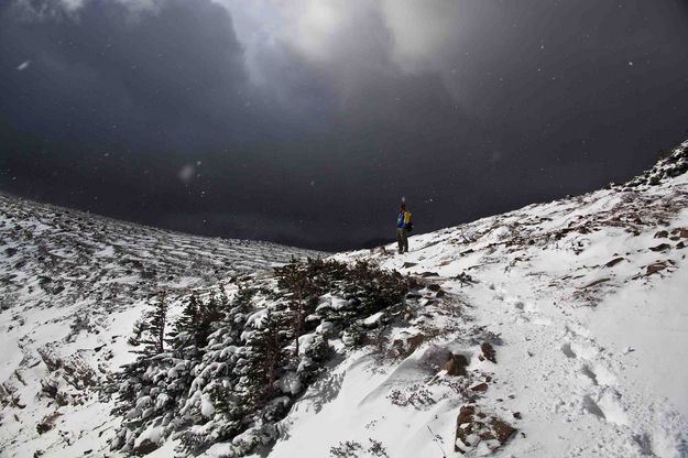 Dawson Pass Tracks. Photo by Dave Bell.