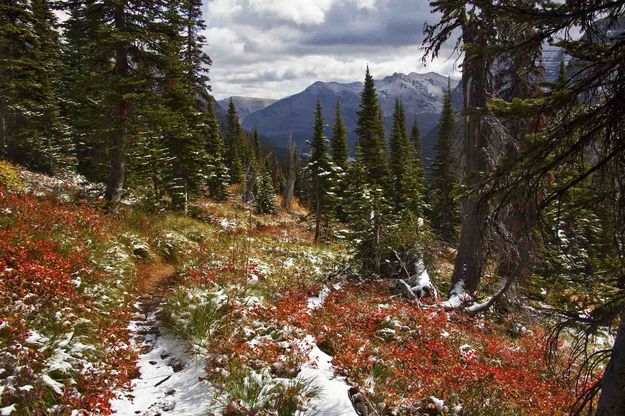 Dawson Pass Fall Foliage. Photo by Dave Bell.