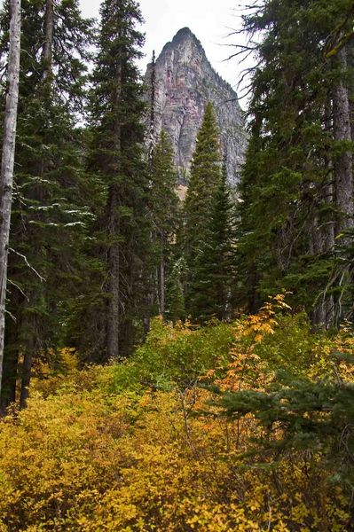 Dawson Pass Foliage. Photo by Dave Bell.