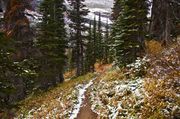 Climbing Through Fall Foliage. Photo by Dave Bell.