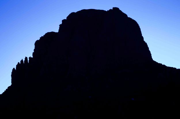 Preying Gorilla Silhouette. Photo by Dave Bell.