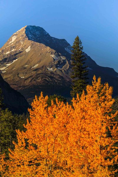 Sunrise On Amphitheater Mountain. Photo by Dave Bell.