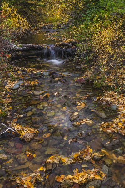 Fall Beauty Near Cutbank. Photo by Dave Bell.