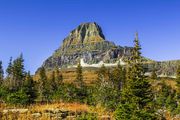 Mt. Reynolds. Photo by Dave Bell.