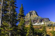 Mt. Reynolds. Photo by Dave Bell.