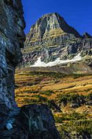 Mt. Reynolds From Highline Trail. Photo by Dave Bell.