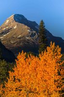 Sunrise On Amphitheater Mountain. Photo by Dave Bell.