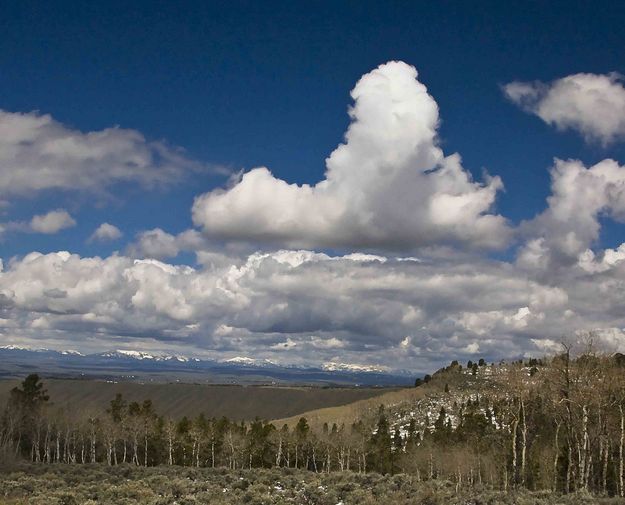 Beautiful View. Photo by Dave Bell.